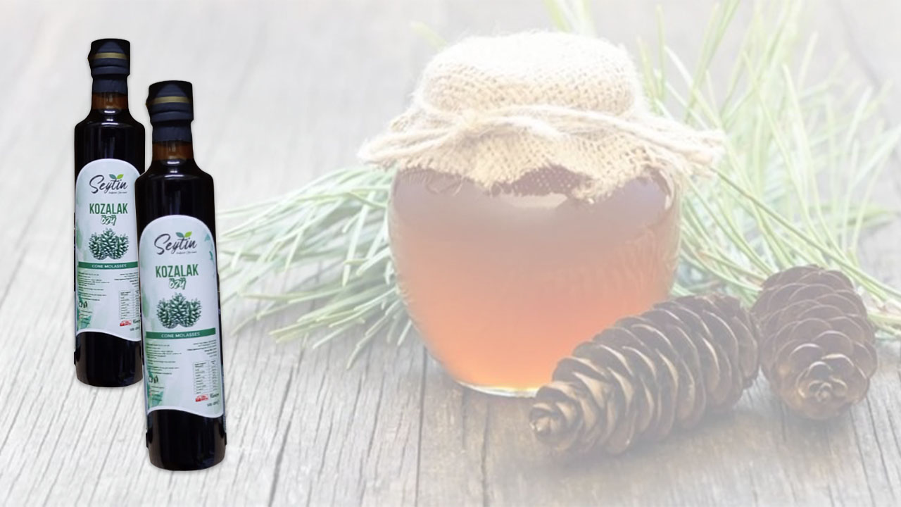 kozalak ozunun faydalari