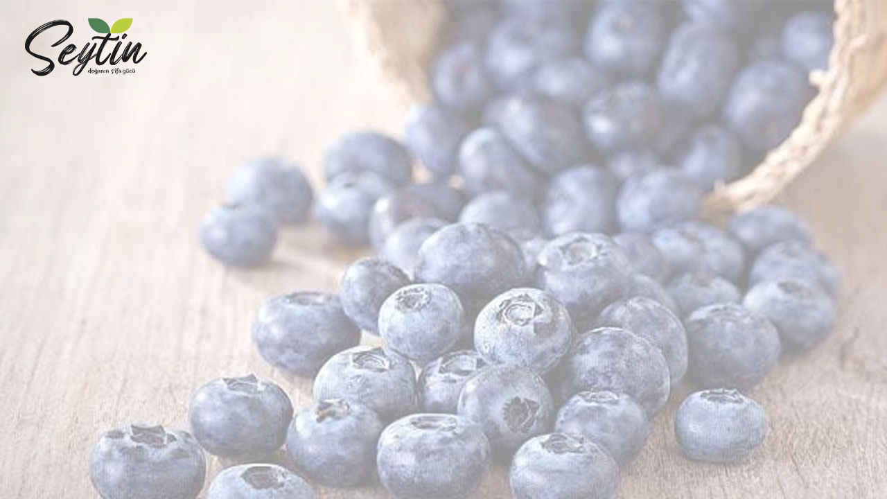 Yaban Mersini Ozunun Faydalari